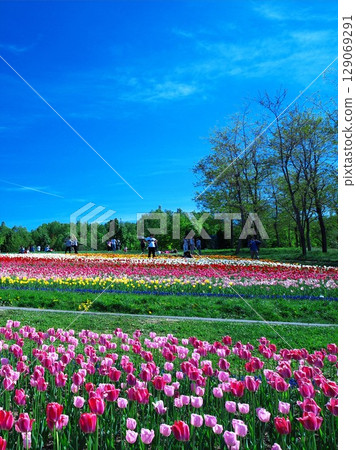 北海道的四季與花田 129069291