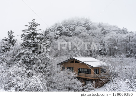 站在深雪的森林裡－栃木縣日光市突如其來的暴風雪 129069390