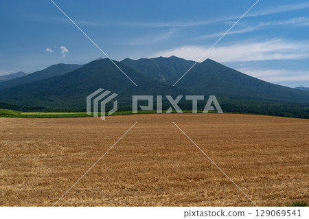 富良野山和麥田 富良野山和麥田 129069541