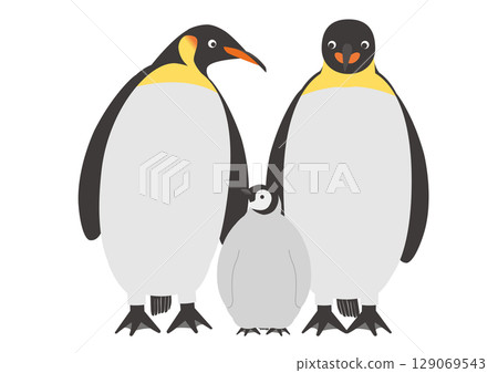 Illustration of three emperor penguins cuddling together 129069543