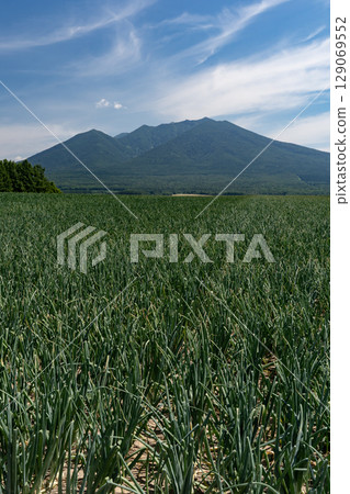 Tokachi Mountain Range and onion fields Tokachi Mountain Range and onion fields 129069552