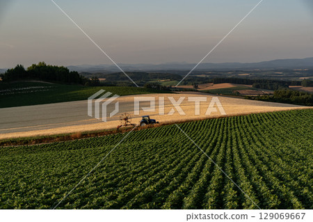 A hill overlooking the wheat fields A hill overlooking the wheat fields 129069667