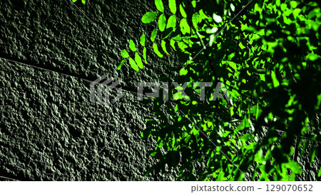 Block wall and plants Block wall and plants 129070652