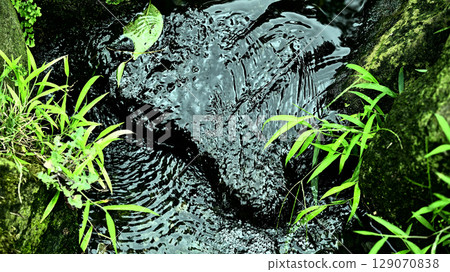 Clear current image Clear current image 129070838