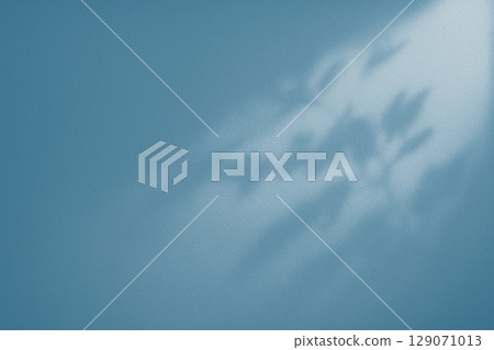 Blue abstract background with swaying leaf shadows 129071013