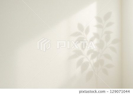 A natural white wall background with the shadows of leaves 129071044