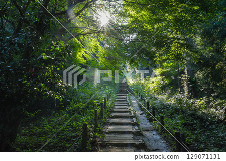 奧高尾山木板路 奧高尾山木板路 129071131
