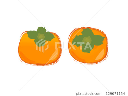 Illustration of persimmon in watercolor style 129071134