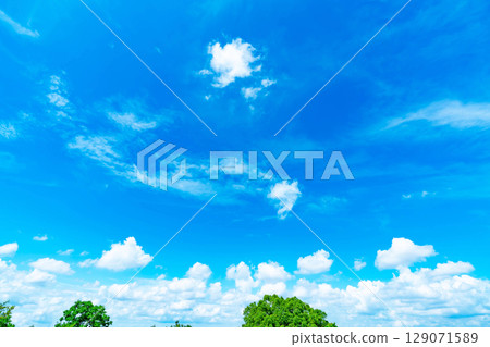 Blue sky, clouds and grove 129071589