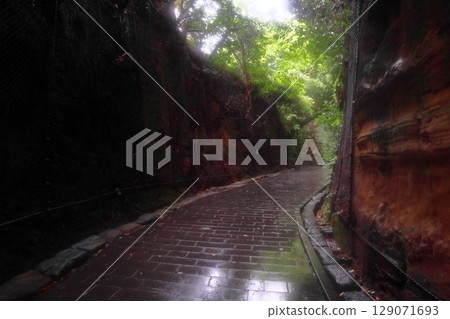 雨後道路濕漉漉的猿島城遺址（神奈川縣橫須賀市） 129071693