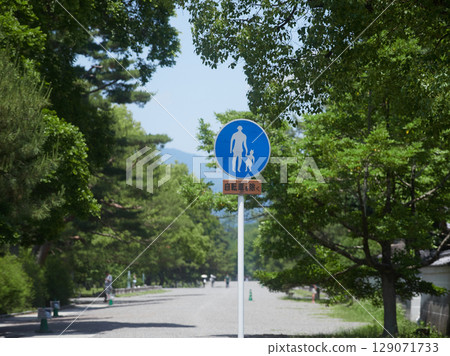 Pedestrian-only road sign at Kyoto Gyoen in summer 129071733