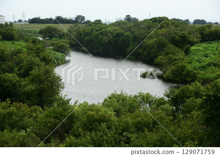 A waterfront branching off from the Edogawa River 129071759