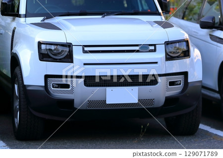 British-made SUV 129071789