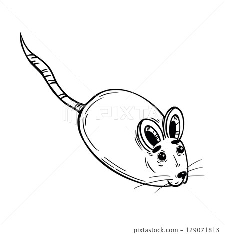 Mouse, a pet toy in the form of a mouse, hand-drawn with ink. Vector illustration for printing on packaging of products for pets, for postcards and coloring pages, design. Vector illustration 129071813