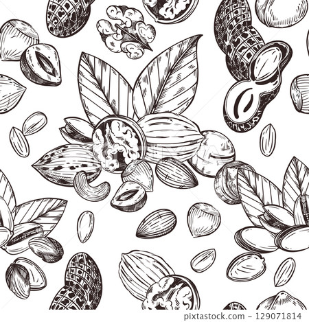 Seamless vector pattern of nuts, pistachios, walnuts, peanuts, hazelnuts, tree leaves. All objects are hand-drawn with ink. The illustration is suitable for printing on product packaging, decor. Seamless vector pattern of nuts, pistachios, walnuts, peanuts, hazelnuts, tree leaves. All objects are hand-drawn with ink. The illustration is suitable for printing on product packaging, decor. 129071814