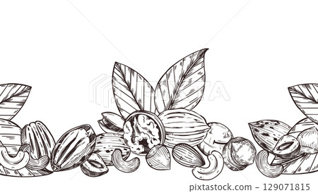 Seamless Vector Border of Nuts, Walnut, Cashew, Pecan, Hazelnut, Macadamia, Tree Leaves. All objects are hand-drawn with ink. For printing on food packaging, towel design. Vector illustration Seamless Vector Border of Nuts, Walnut, Cashew, Pecan, Hazelnut, Macadamia, Tree Leaves. All objects are hand-drawn with ink. For printing on food packaging, towel design. Vector illustration 129071815