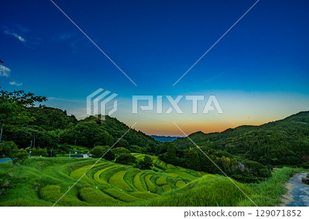 大山千枚田梯田的日落 129071852