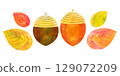 Autumn illustration material: Acorn illustration in watercolor style 129072209
