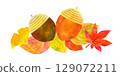Autumn illustration material: Acorn illustration in watercolor style 129072211
