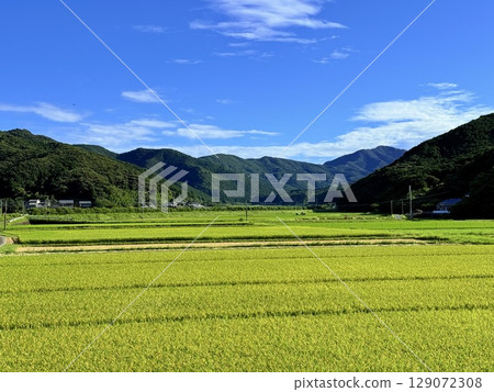 日本長崎縣五島列島福江島的鄉村景觀和火山丘陵的夏季風景 129072308