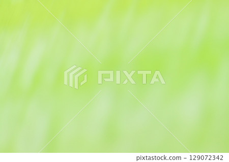 柔和的綠色,柔和的抽象的背景 柔和的綠色,柔和的抽象的背景 129072342
