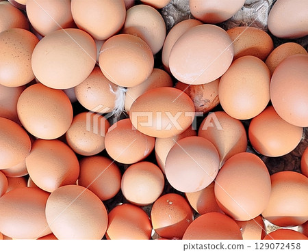 fresh eggs from the farm fresh eggs from the farm 129072458