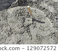 shovel in the sand 129072572