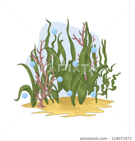 Illustration of Seaweed  129072871