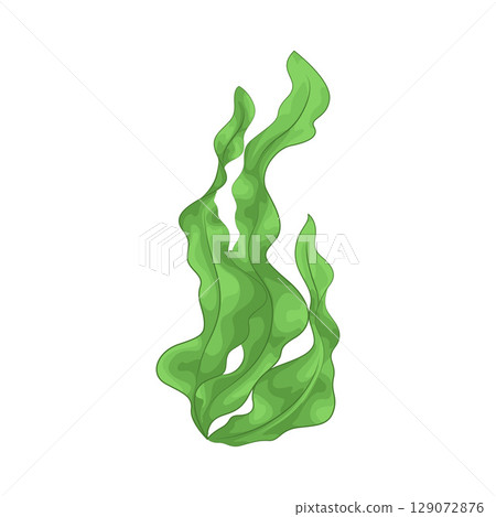 Illustration of Seaweed  129072876