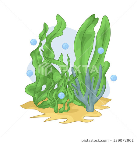 Illustration of Seaweed  129072901