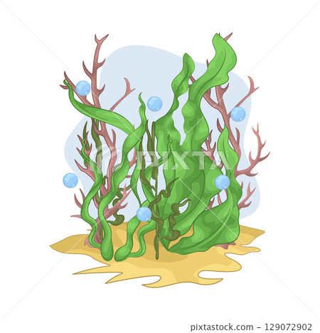 Illustration of Seaweed  129072902