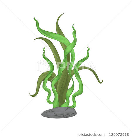Illustration of Seaweed  129072918