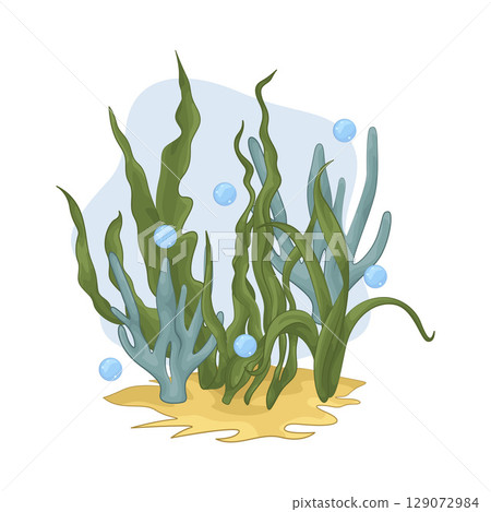 Illustration of Seaweed  129072984