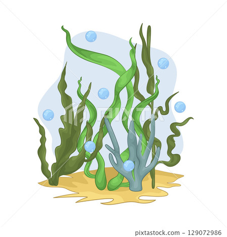 Illustration of Seaweed Illustration of Seaweed 129072986