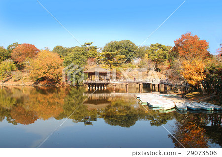Ukimido of Nara Park in autumn colors 129073506