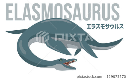 Illustration of a long-necked elasmosaurus (dinosaur). Includes name. 129073570
