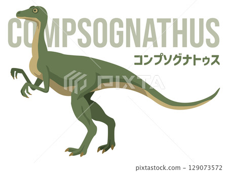 Image illustration of the small and agile Compsognathus (dinosaur). Includes name. Image illustration of the small and agile Compsognathus (dinosaur). Includes name. 129073572