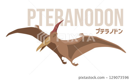 A simple illustration of a flying Pteranodon (dinosaur). 129073596