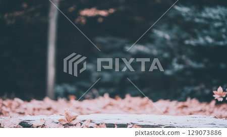 Colorful autumn leaves blanket the ground in a serene forest setting during late afternoon 129073886