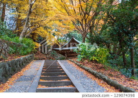 兵庫縣有馬溫泉碳酸泉公園,美麗的秋日風景 兵庫縣有馬溫泉碳酸泉公園,美麗的秋日風景 129074398