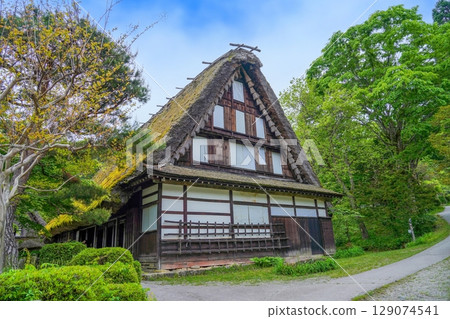 Scenery of a thatched-roof gassho-style house surrounded by fresh greenery 129074541