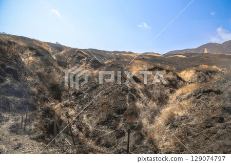 March 25 2025 Burnt Grassland Landscape Under a Clear Blue Sky, Japan March 25 2025 Burnt Grassland Landscape Under a Clear Blue Sky, Japan 129074797