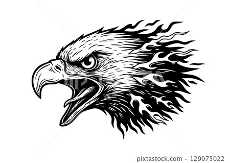 Fierce angry eagle head with dynamic flames, ideal for bold and powerful designs. 129075022