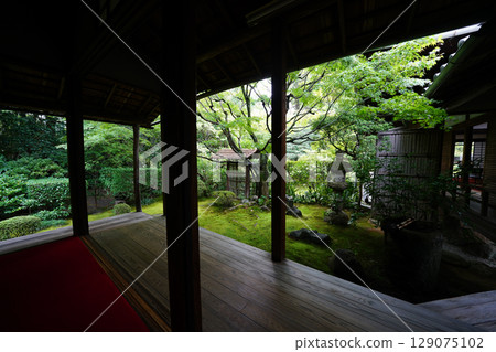 Garden scenery of Keishun-in, a sub-temple of Myoshinji Temple Garden scenery of Keishun-in, a sub-temple of Myoshinji Temple 129075102