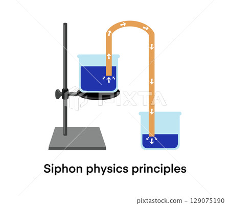 illustration of chemistry and physics, Siphon physics principles, A siphon is any of a wide variety of devices that involve the flow of liquids through tubes, Siphon principle, education for school illustration of chemistry and physics, Siphon physics principles, A siphon is any of a wide variety of devices that involve the flow of liquids through tubes, Siphon principle, education for school 129075190