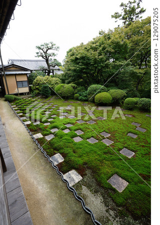 Beautiful garden scenery with checkered moss at Tofukuji Temple's main temple Beautiful garden scenery with checkered moss at Tofukuji Temple's main temple 129075205