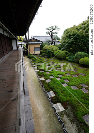 Beautiful garden scenery with checkered moss at Tofukuji Temple's main temple Beautiful garden scenery with checkered moss at Tofukuji Temple's main temple 129075206
