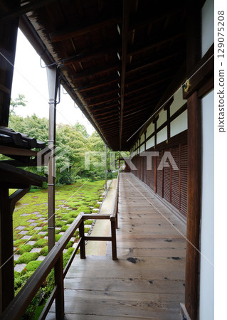 Beautiful garden scenery with checkered moss at Tofukuji Temple's main temple 129075208