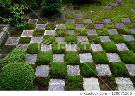 Beautiful garden scenery with checkered moss at Tofukuji Temple's main temple Beautiful garden scenery with checkered moss at Tofukuji Temple's main temple 129075209