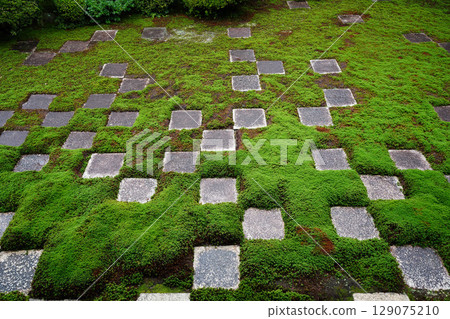 Beautiful garden scenery with checkered moss at Tofukuji Temple's main temple 129075210